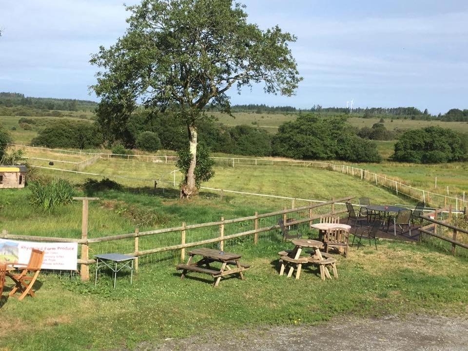 Rhydgaled Villa Llanon Екстериор снимка
